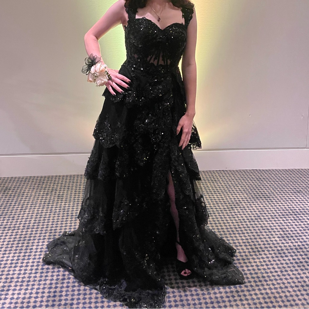 Elegant Black Evening Gown/ Prom Dress